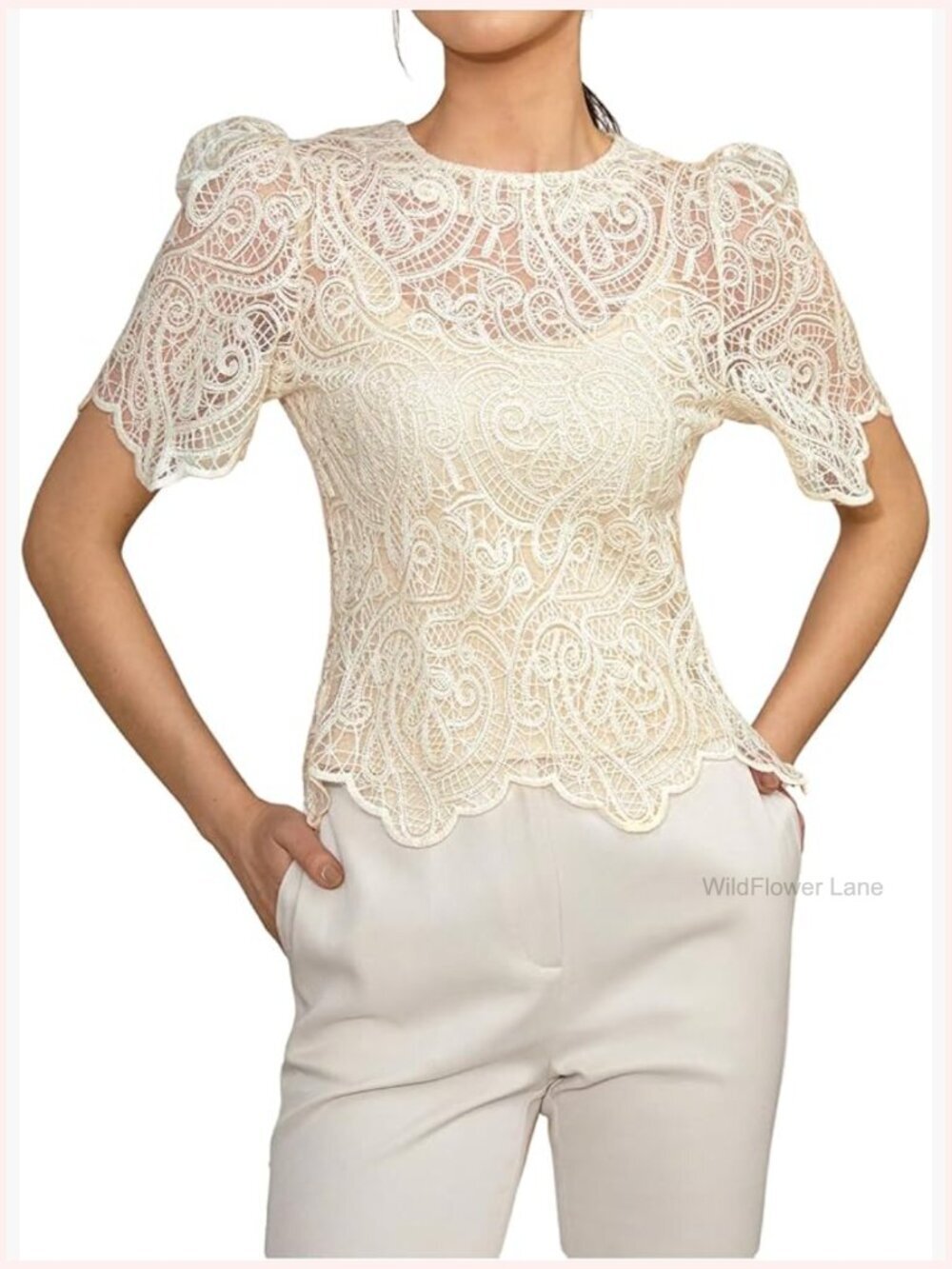 Sheer Lace Blouse Puff Sleeve Crewneck Scallop Elegant Top